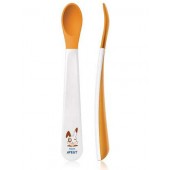 Avent      6 