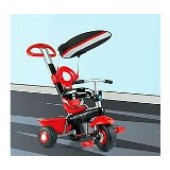 Smart Trike 