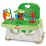 Fisher Price     