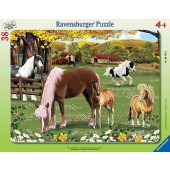 Ravensburger  